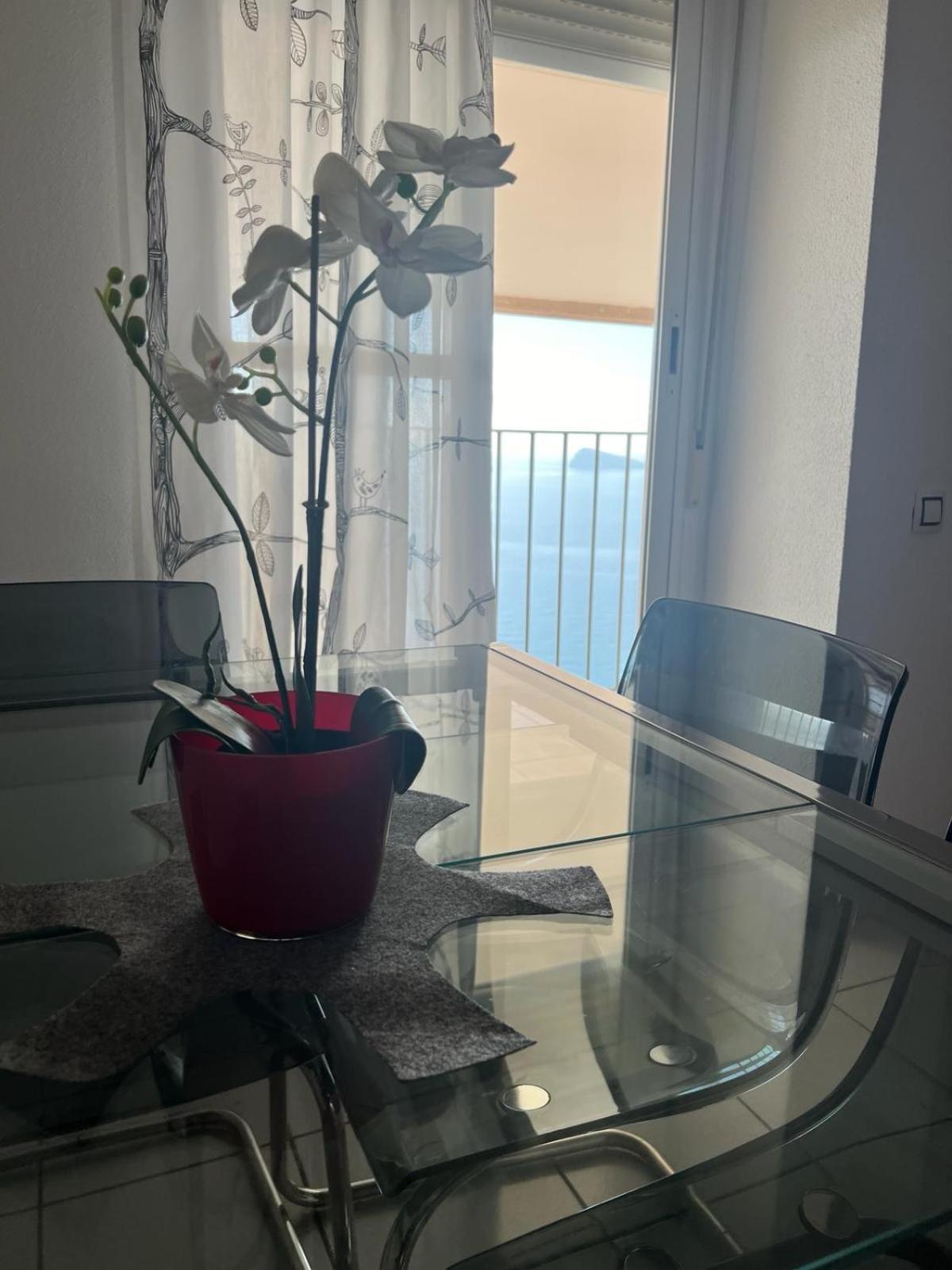 Apartamento Para 4 Personas Frente Al Mar ベニドルム エクステリア 写真